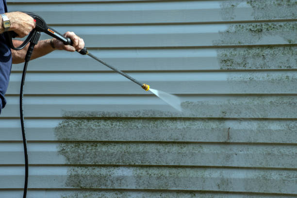 Professional Pressure Washing in Bronson, FL